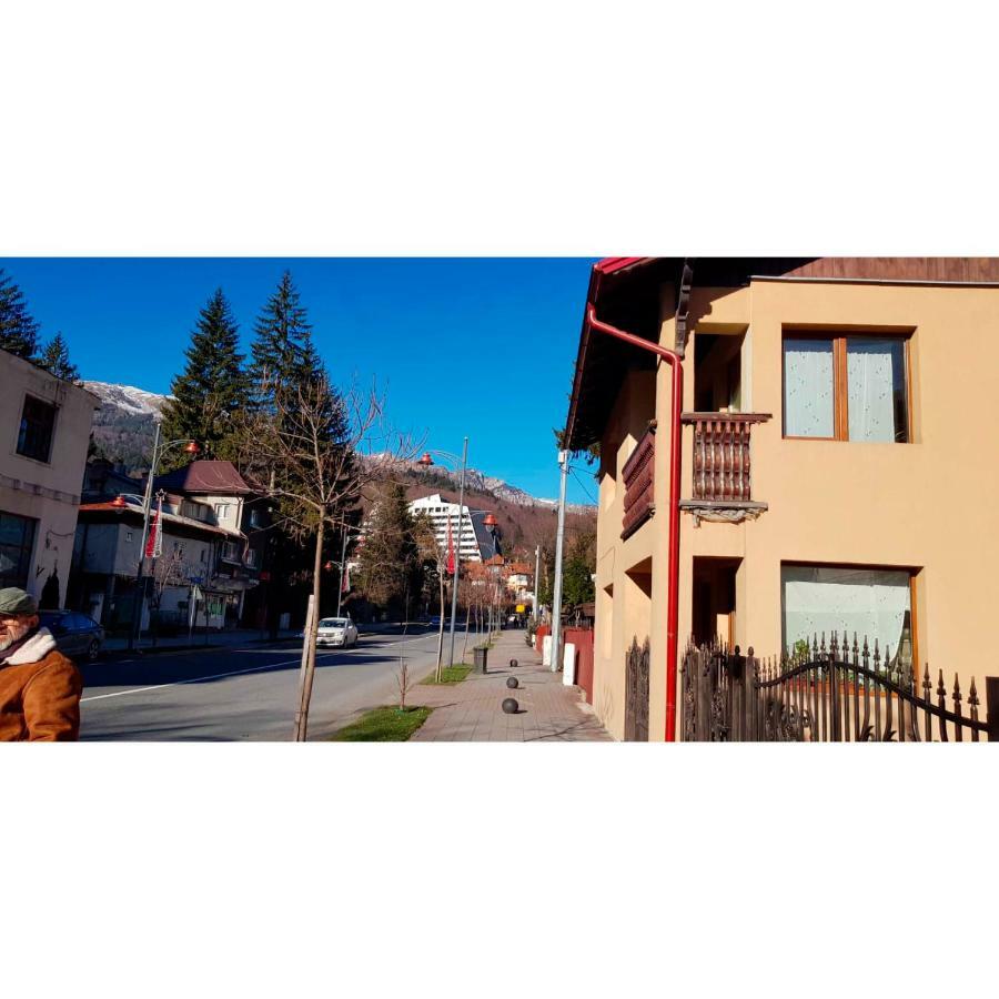Vaso Apartament Синая Экстерьер фото