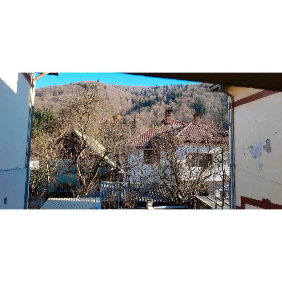 Vaso Apartament Синая Экстерьер фото