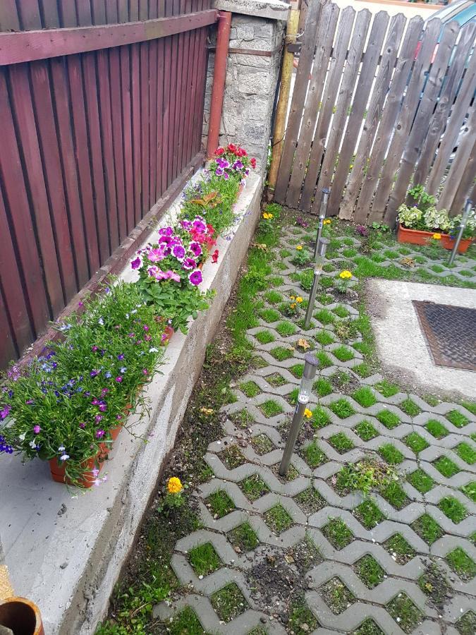 Vaso Apartament Синая Экстерьер фото